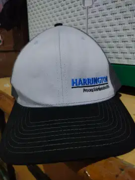 Topi Harrington