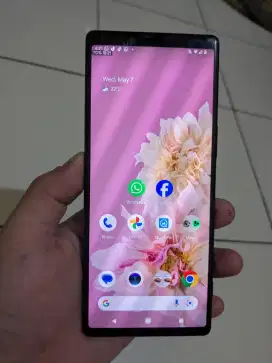 Sony Xperia 1, terinstal TWRP, UBL Yes