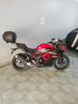 Ninja mono 250 2019