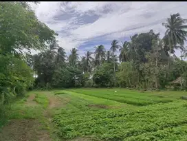 Dijual Tanah 1.400m2