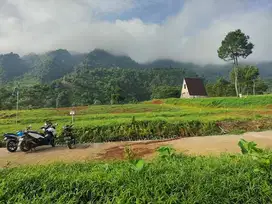 Tanah kavling Villa view pegunungan dan berkabut di Bogor