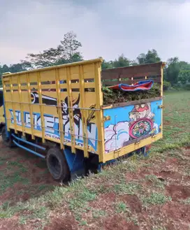 Rumput gajah biasa per 1 truck