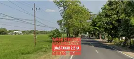 Tanah LD 124 mtr, Jl Raya Propinsi Madiun-NGAWI Berkelass