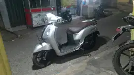 Fazio luxury 2023