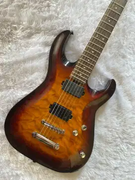 Gitar Model LTD