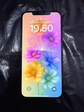 Iphone 12 Pro Max 256 Gb Ex Inter All Provider
