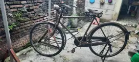 Sepeda Jadul unta