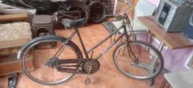 Sepedah pohenik cewek murah Monggo yg minat