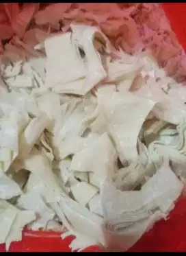 Kulit pangsit rijek