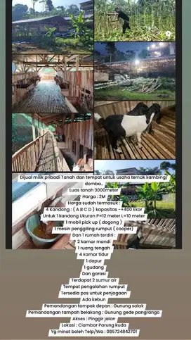 Di Jual Tanah dan Bangunan Rumah dan Peternakan