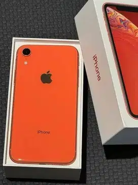 Iphone Xr 128 Gb resmi Ibox