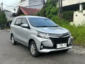 D. GREAT XENIA X 2019