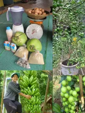 Butuh asisten rumah tangga part time