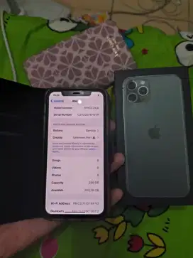 11 PRO 256GB BEACUKAI
