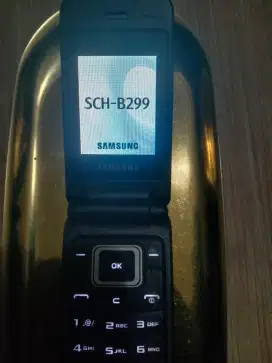 SAMSUNG SCH B299