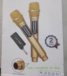 Mic wireless isi dua