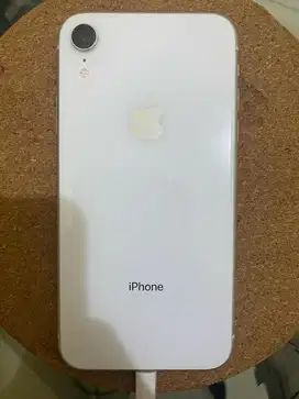 Iphone Xr 128 GB Resmi Ibox