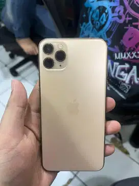 iPhone 11 PRO MAX 256gb inter all provider