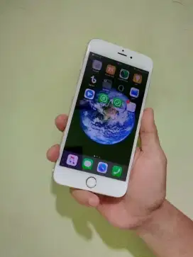 Iphone 6+ 16gb mulus