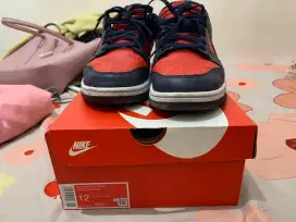 Nike Dunk Low Retro