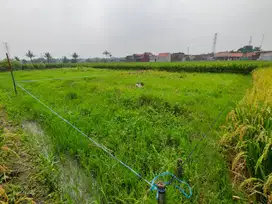 Tanah Luas Siap Bangun – Lokasi Premium Harga Nego