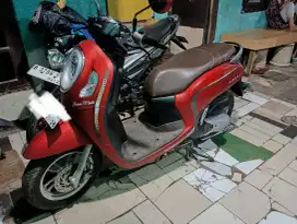 Honda Scoopy Stylish 2023