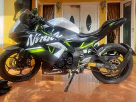 Kawasaki Ninja 250SL mono  New 2019