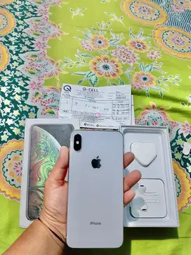 iphone xs max 256 gb