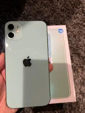 Iphone 11 128gb all operator mulusss warna green