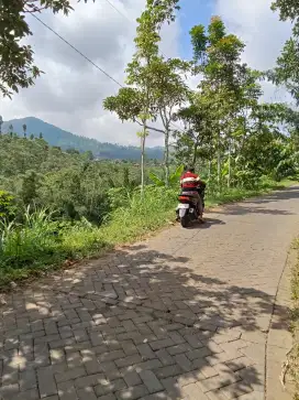 Tanah seluas 5700 m² di jual cepat .view asri pegunugan