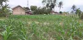 Jual tanah cepat 2000m²-+-