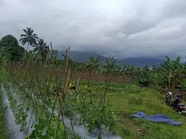 Jual tanah cepat