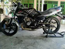 Ninja r up ss zebra