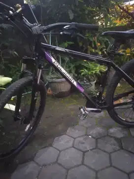Sepeda polygon Premier uk27,5 H2,2 jt