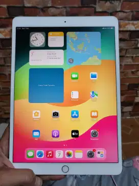 iPad Pro 10.5 64 GB iBox