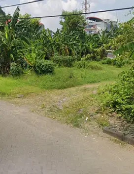 Tanah di depan The Gayungsari Surabaya