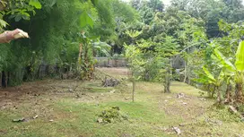 Tanah Di Lokasi Strategis Dekat Puspitek Serpong Cocok Untuk Hunian at