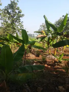 Dijual Tanah Strategis di Purwakarta