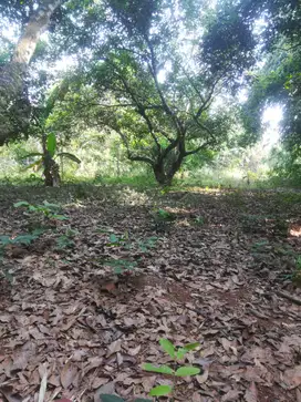 Dijual Tanah Siap Bangun di Purwakarta