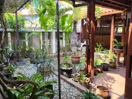 Rumah Bebas Banjir Di Sunter Mas Asri Nyaman No Rumah Cantik