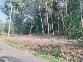 Tanah di jual di sleman 135 juta barat pasar godean Minggir