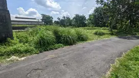 Dekat Hyatt Regency Jl Palagan, Tanah Jogja Tepi Aspal SHM
