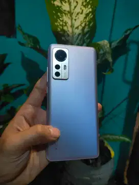 Xiaomi Mi 12 8/256