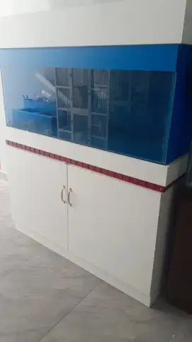 Aquarium buar arwana