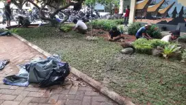 Jasa suplier Rumput