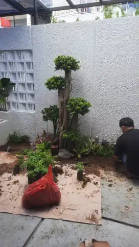 Jasa, tukang taman