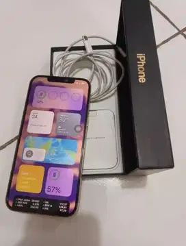 Jual iphone 12 promax inter all operator 256GB