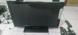 LED POLYTRON 24