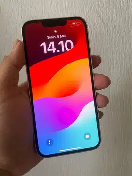 Iphone 13 128gb Inter