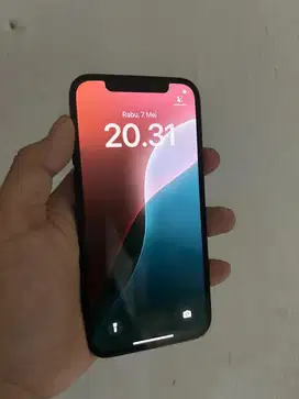 Iphone 12 Pro 256gb Inter